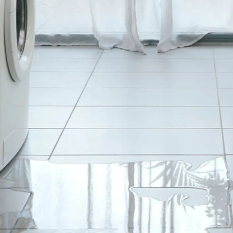 Appliance Leak Cleanup in Bronson, FL