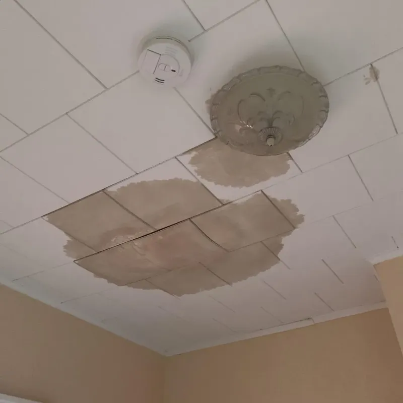 Ceiling Water Damage Repair in Bronson, FL
